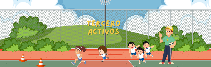 Tercero - Activos