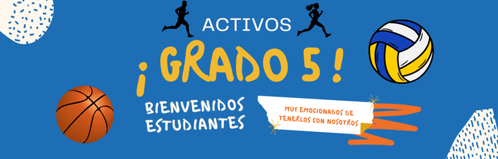 Quinto - Activos